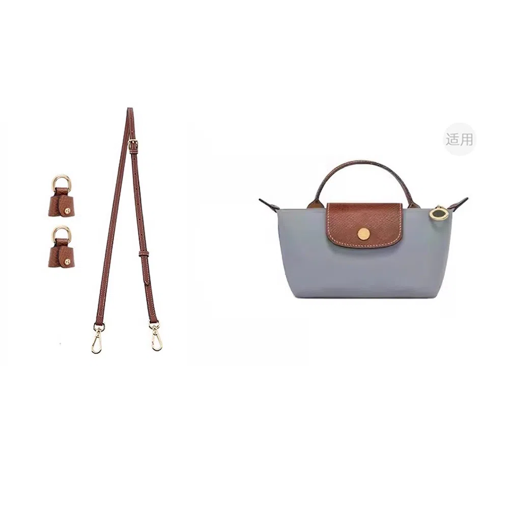 Longchamp Mini