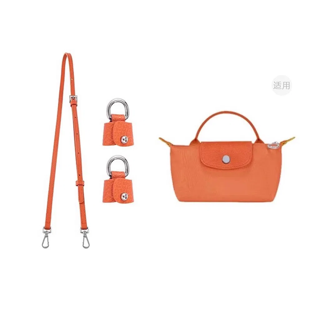 Longchamp Mini