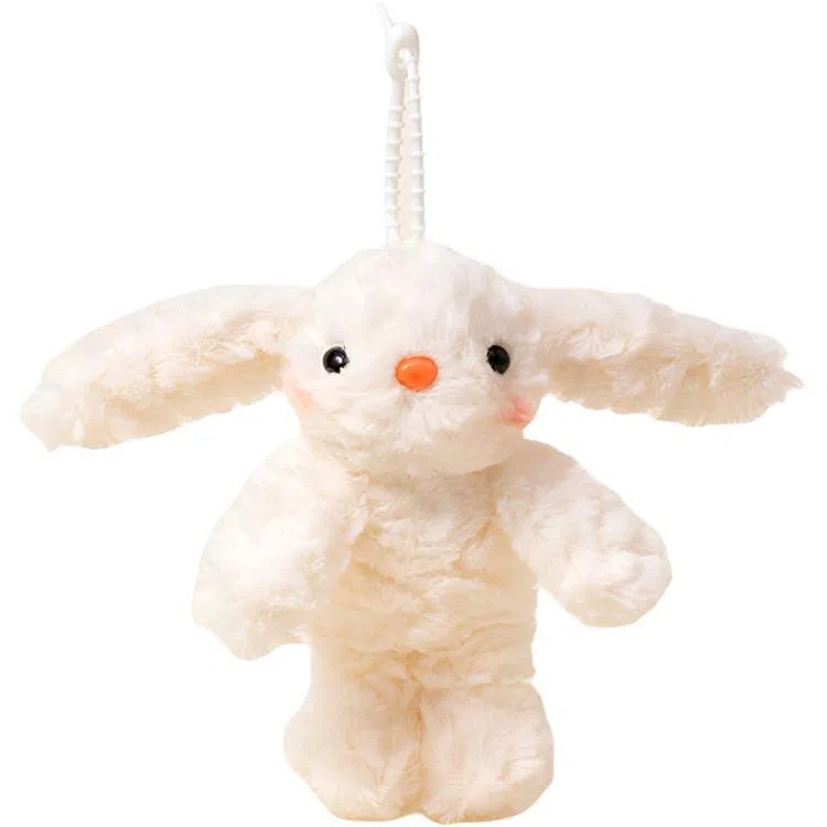 20cm