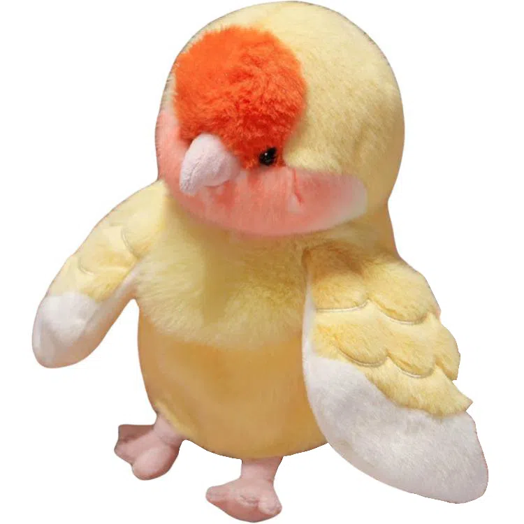 20cm