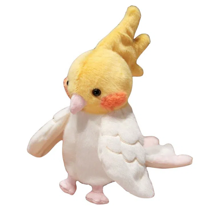 20cm