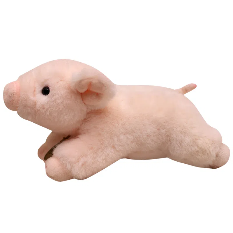 20cm40cm