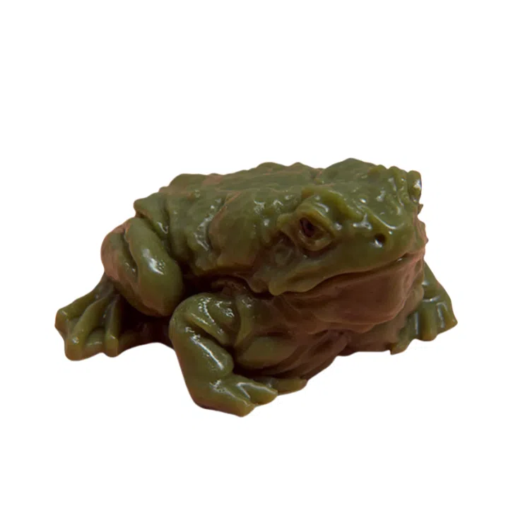 咕轹 癞蛤蟆捏捏乐 玩具