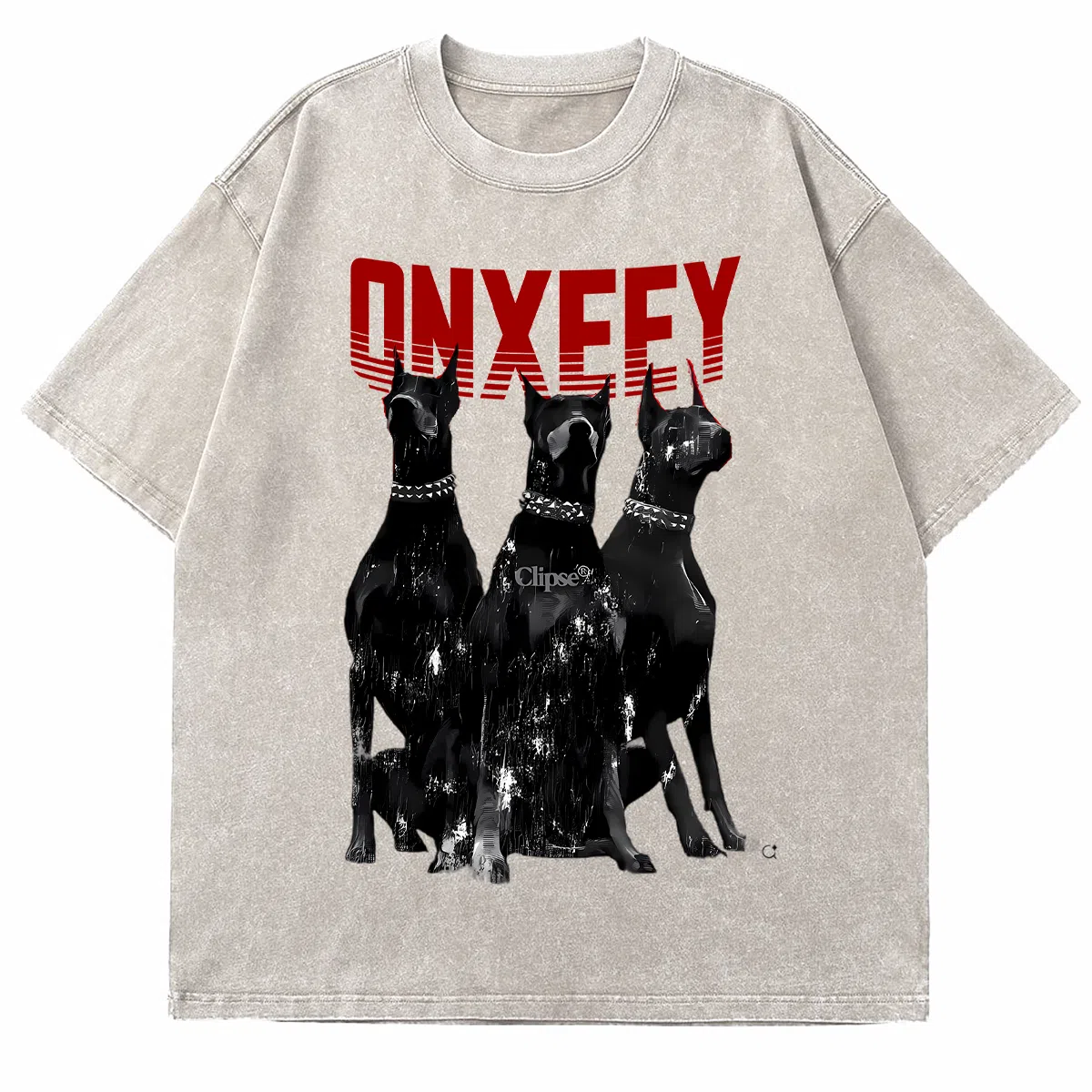 Qnxeey logoinsT