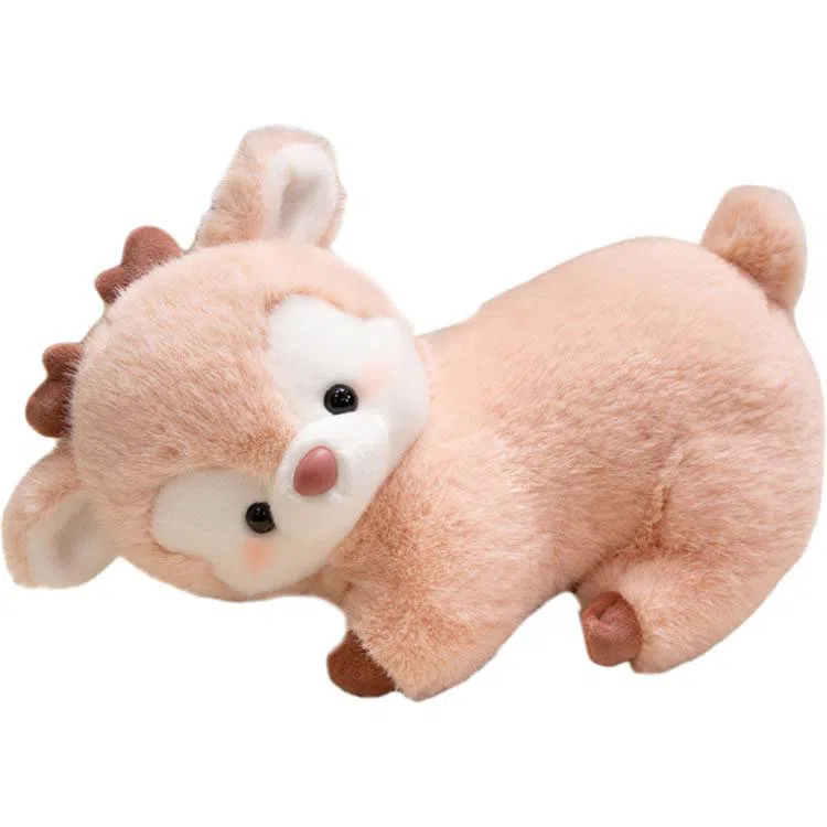 30cm