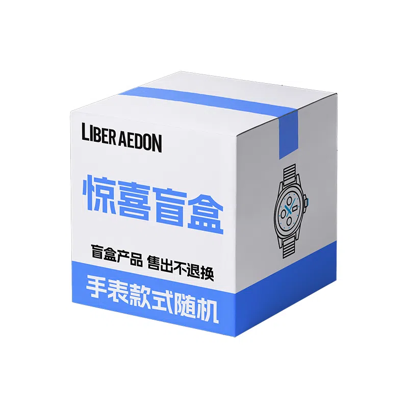 LIBER AEDON Quartz Silver Dial Watch