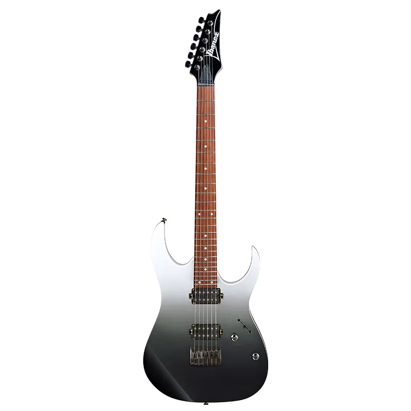 Ibanez RG421 24