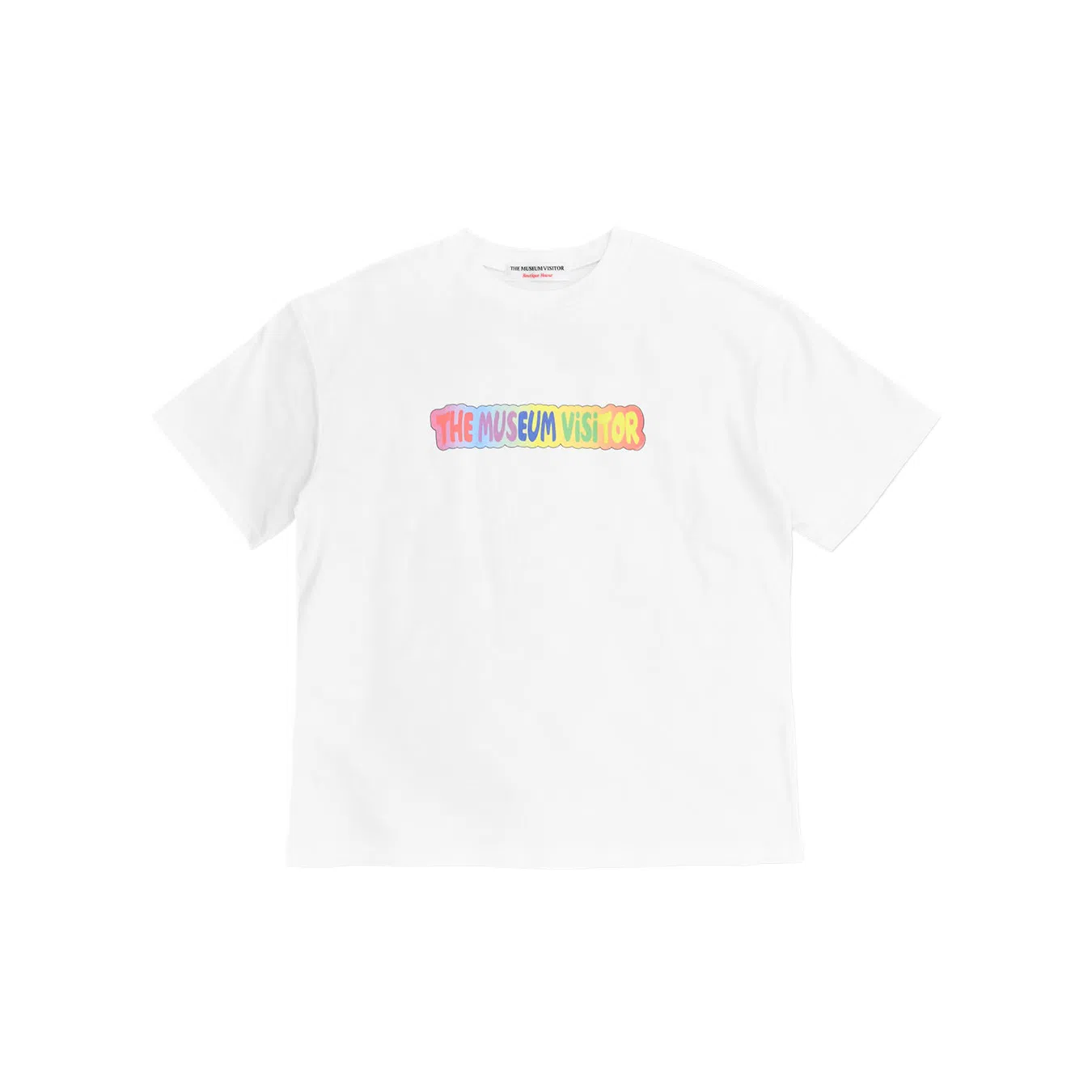 THE MUSEUM VISITOR T