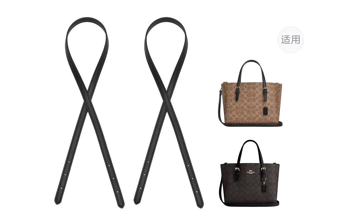 ROSEDAWN COACH Mollie 25Tote diy