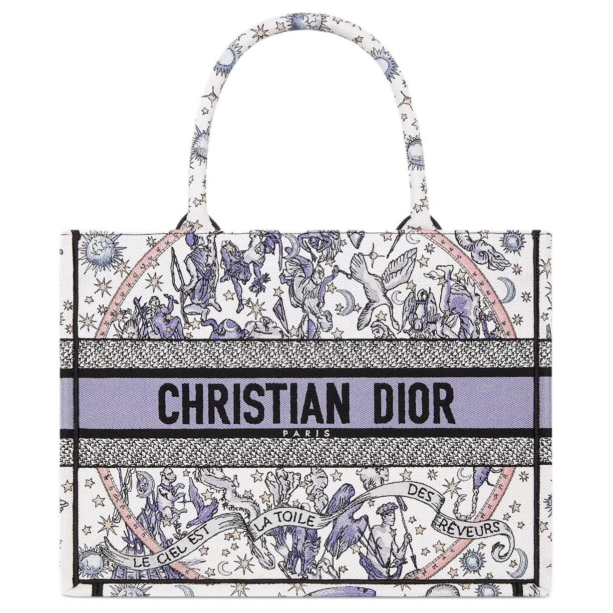 DIOR BookTote Tote