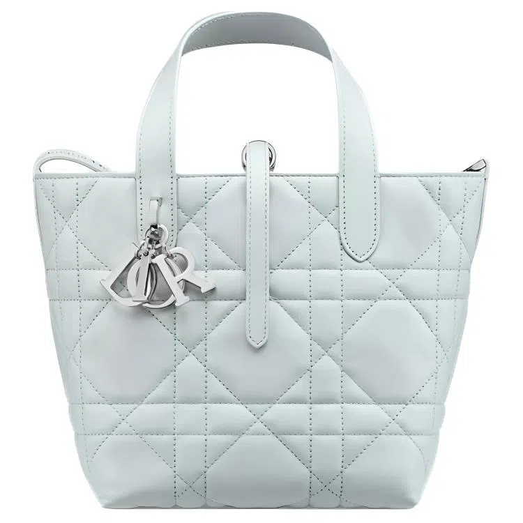 DIOR Toujours Tote