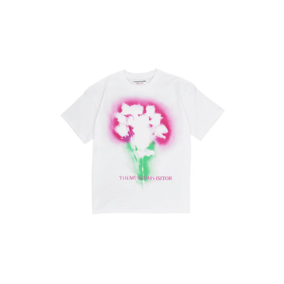 THE MUSEUM VISITOR T