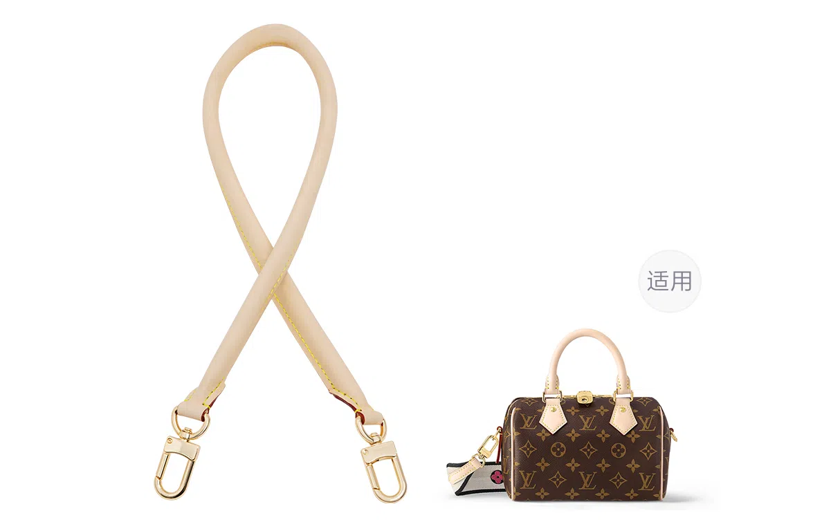 LOUIS VUITTON Speedy 20