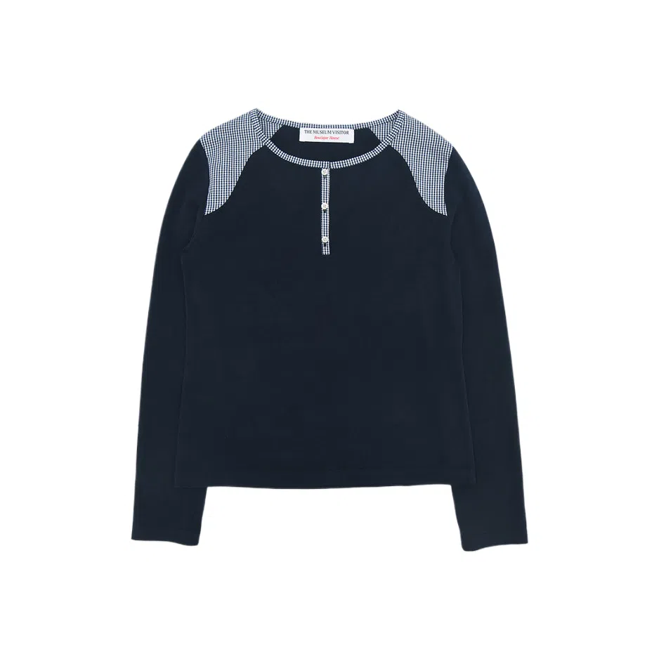 THE MUSEUM VISITOR T