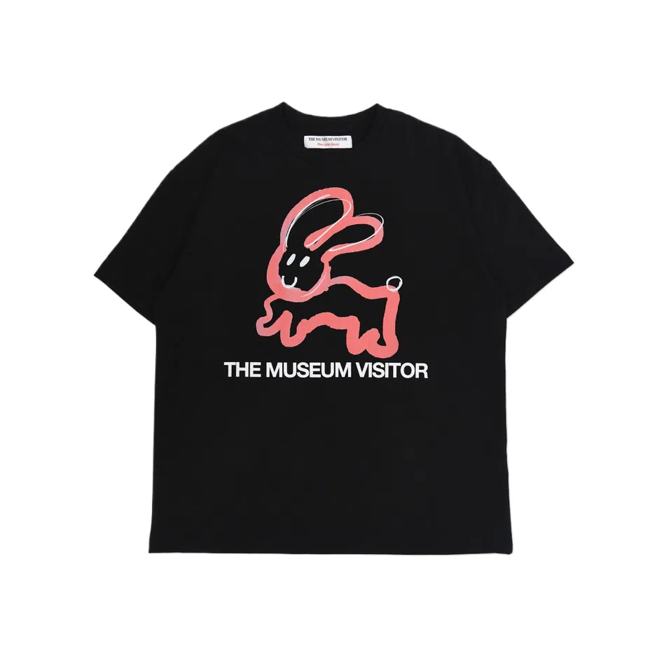 THE MUSEUM VISITOR T