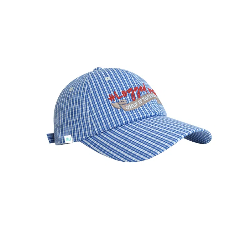 【出片ins风】 心水好物 超绝小清新蓝色格纹韩版宽檐显脸小软顶刺绣 锦纶 鸭舌帽 女款