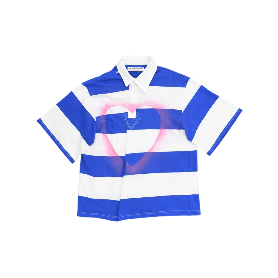 THE MUSEUM VISITOR T