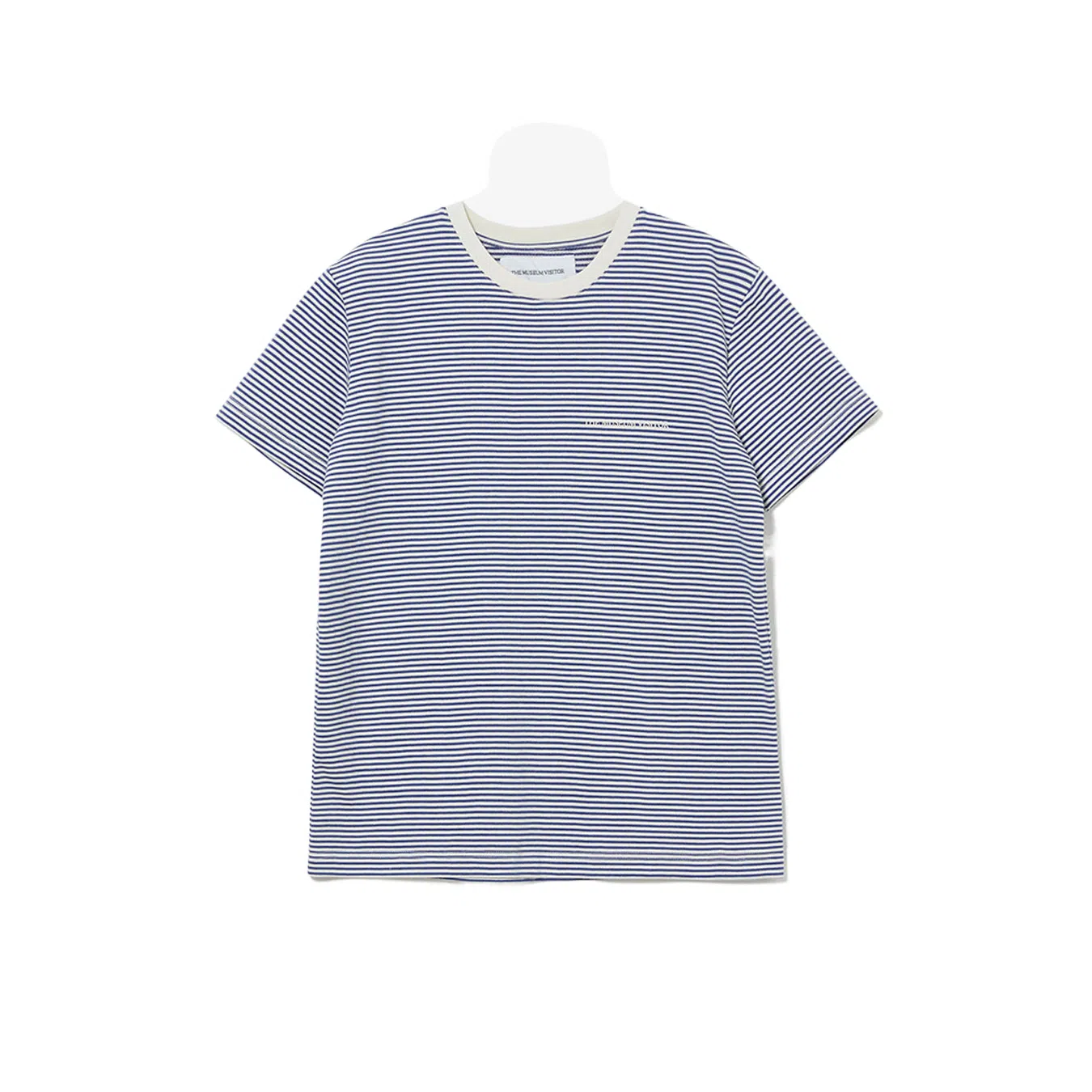 THE MUSEUM VISITOR T