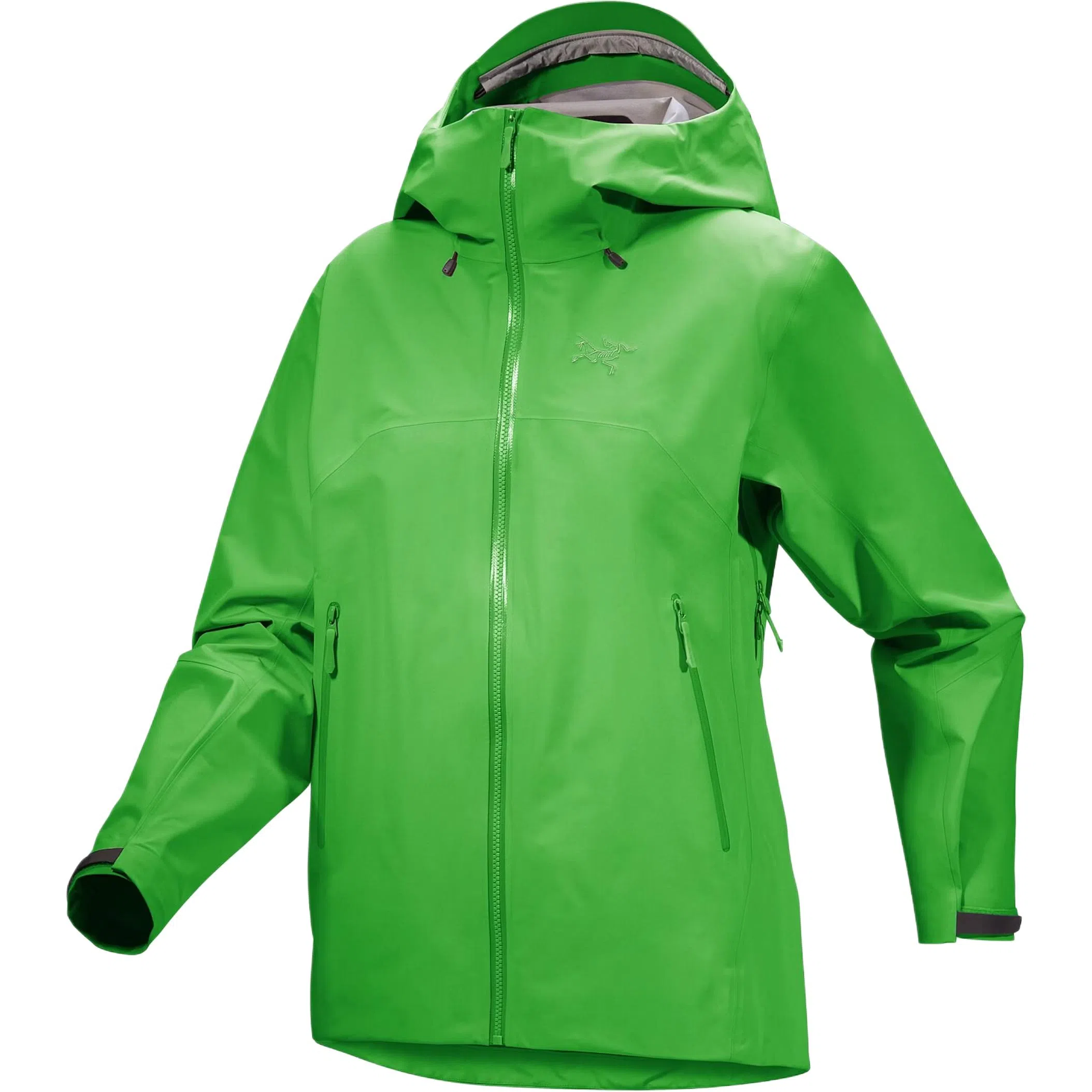 Arcteryx Beta Lightweight Jacket