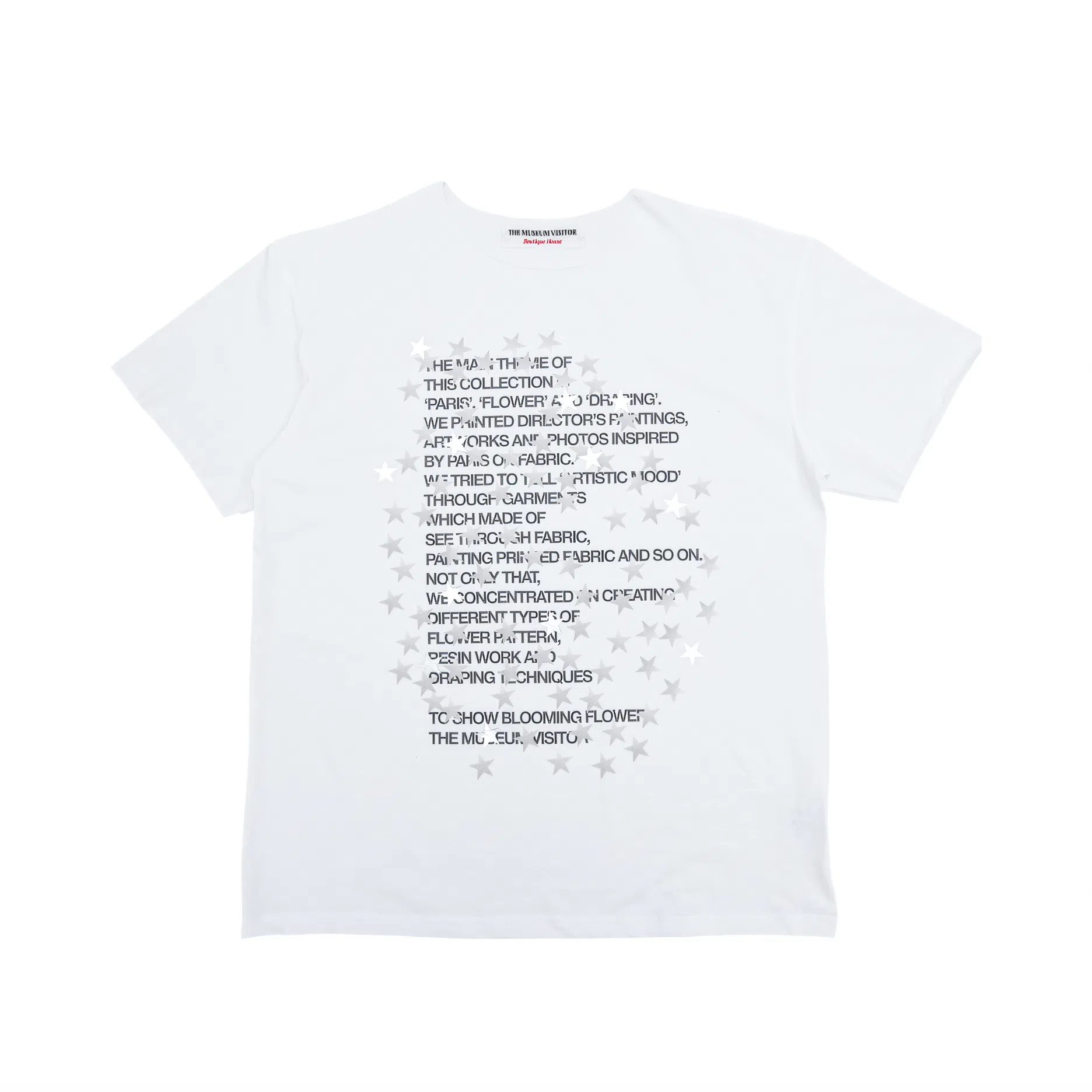 THE MUSEUM VISITOR T