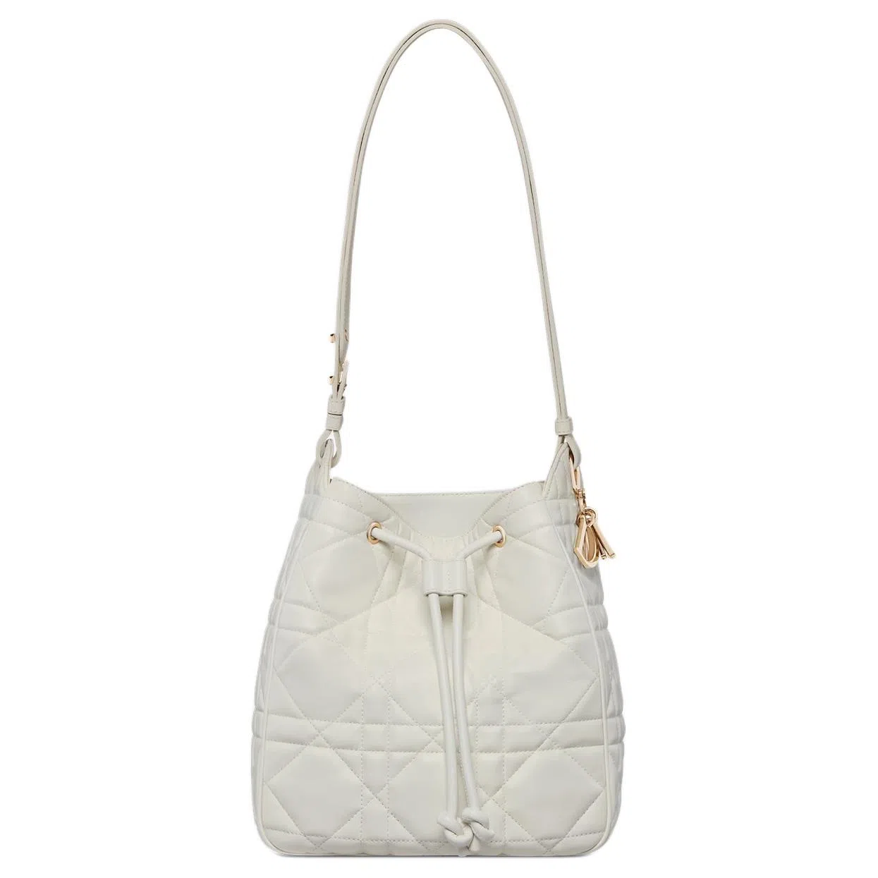 DIOR D-Motion