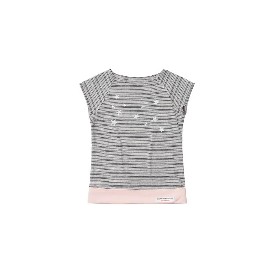 THE MUSEUM VISITOR T