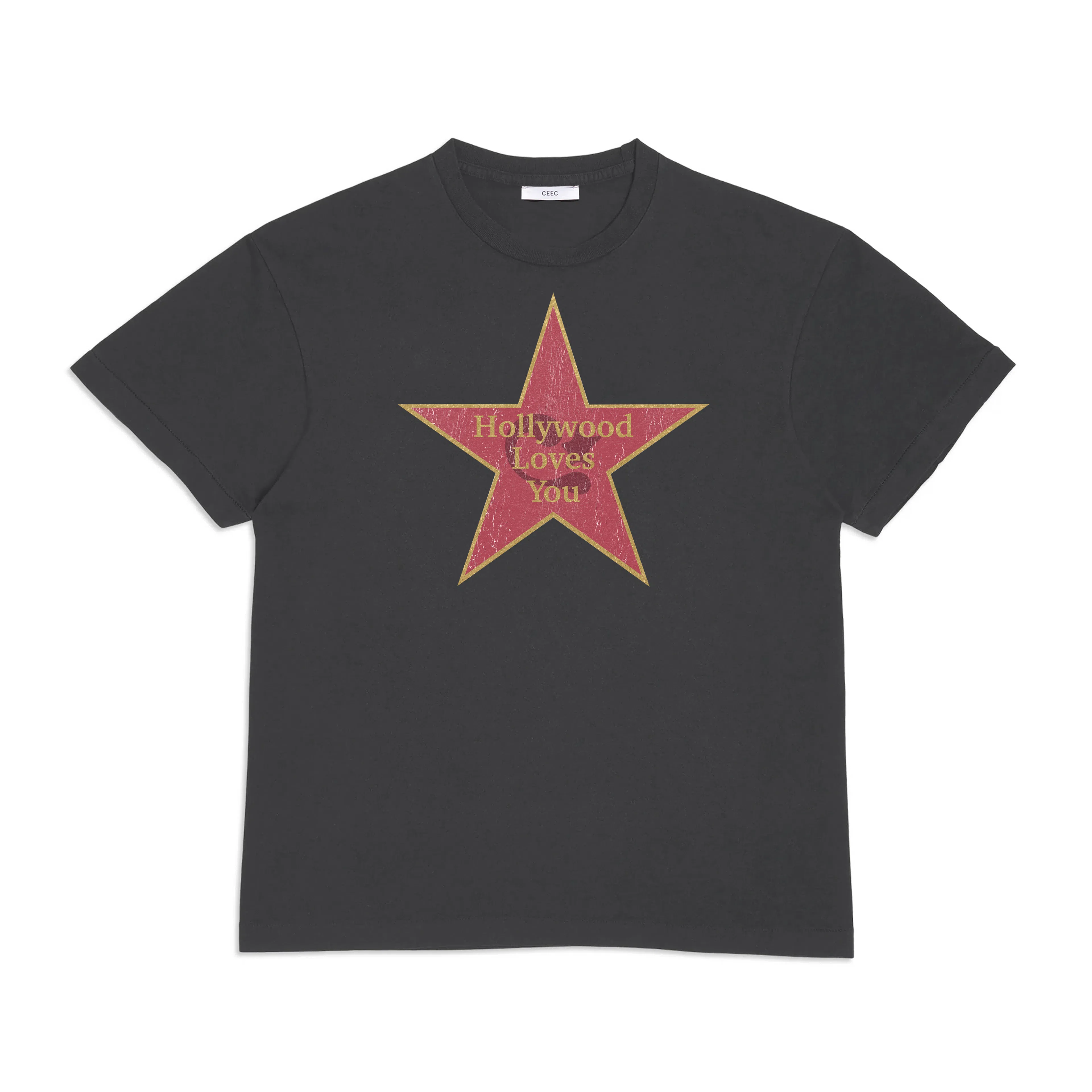 CEEC LA Walk Of FameT