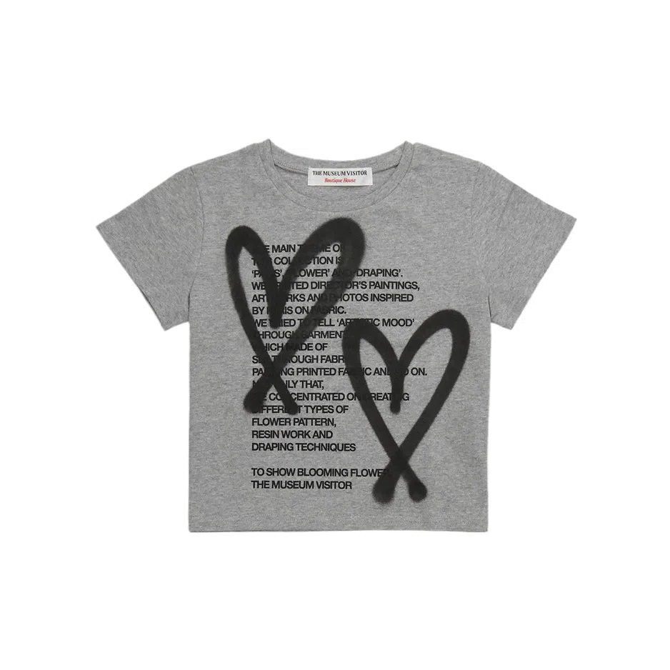 THE MUSEUM VISITOR T