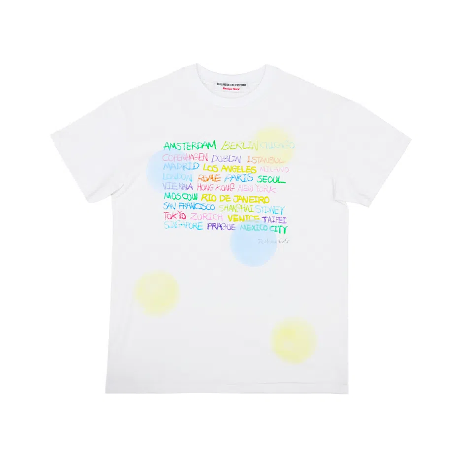 THE MUSEUM VISITOR T