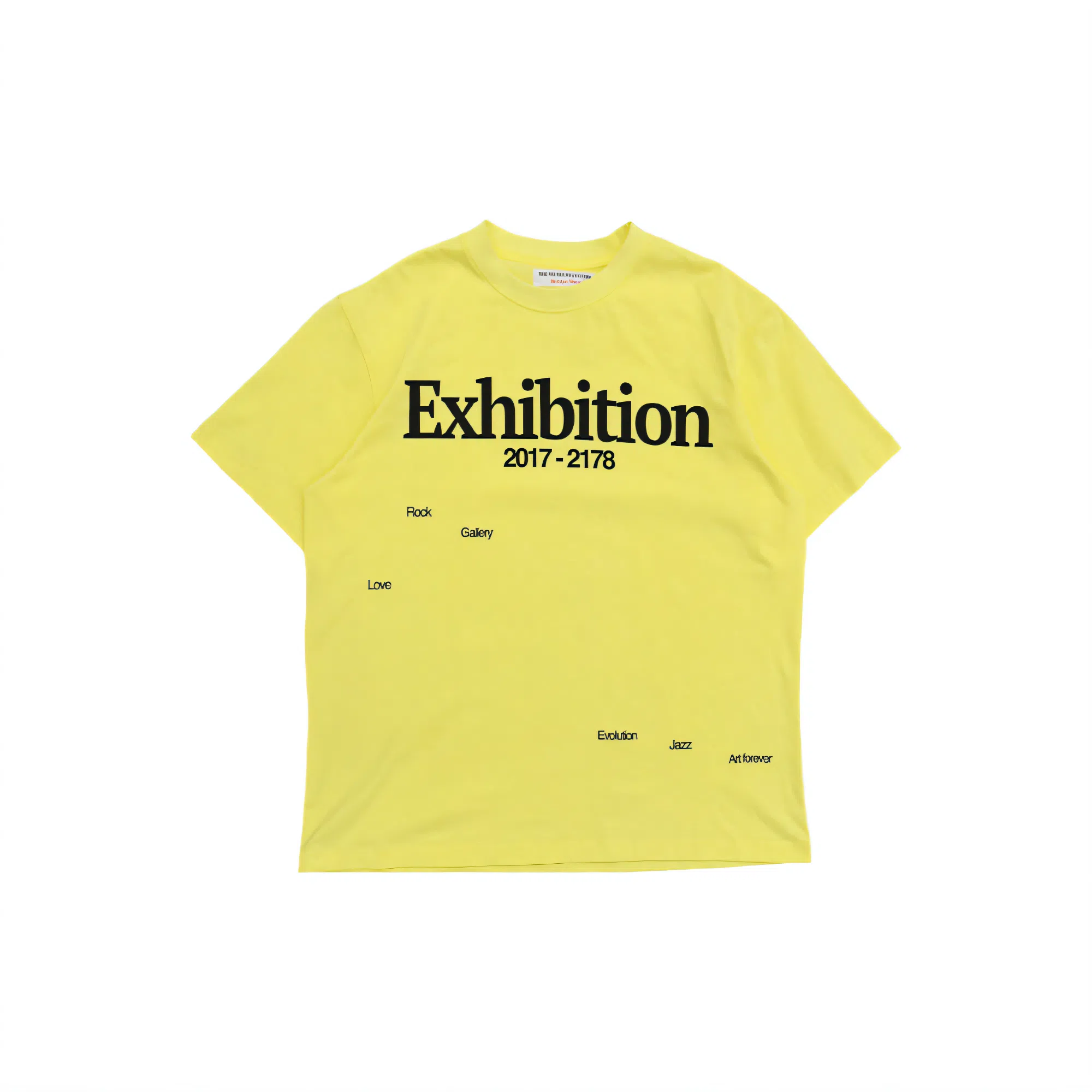 THE MUSEUM VISITOR T