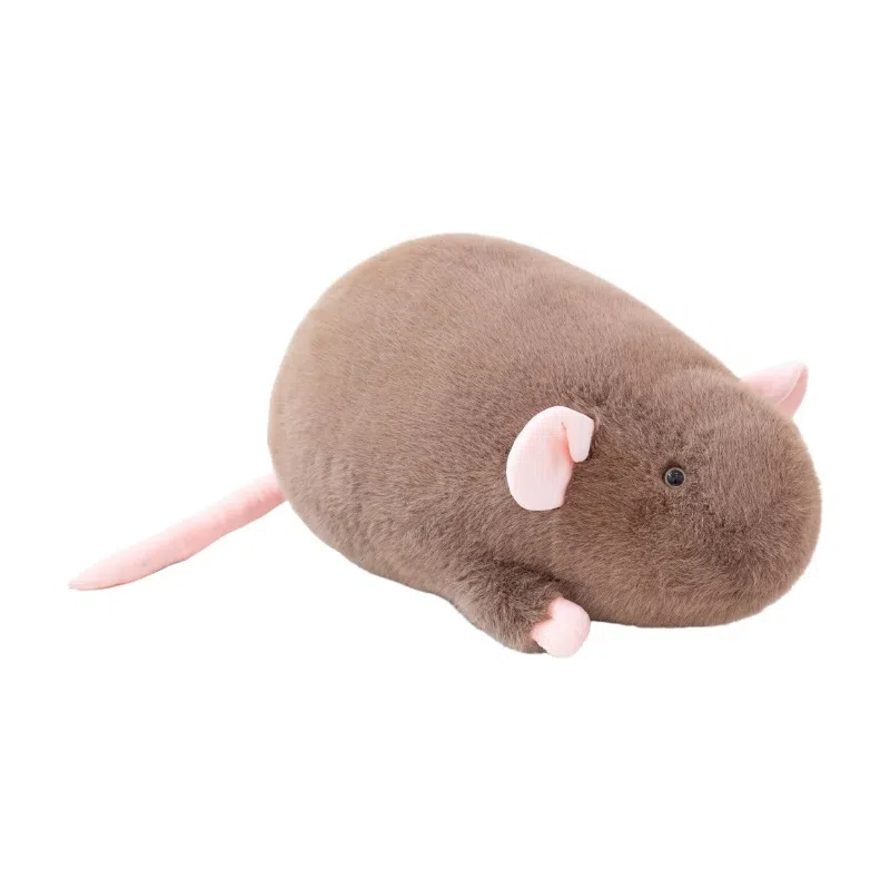 Brangdy 18cm35cm65cm