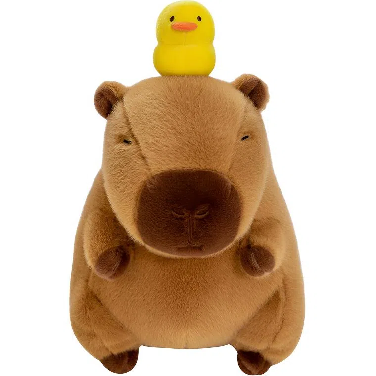 25cm35cm45cm55cm95cm