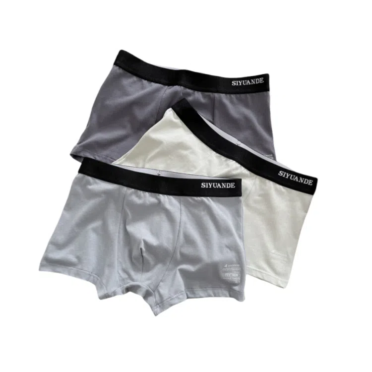 ECONICE Mid-Rise Plus Size Boxer Briefs