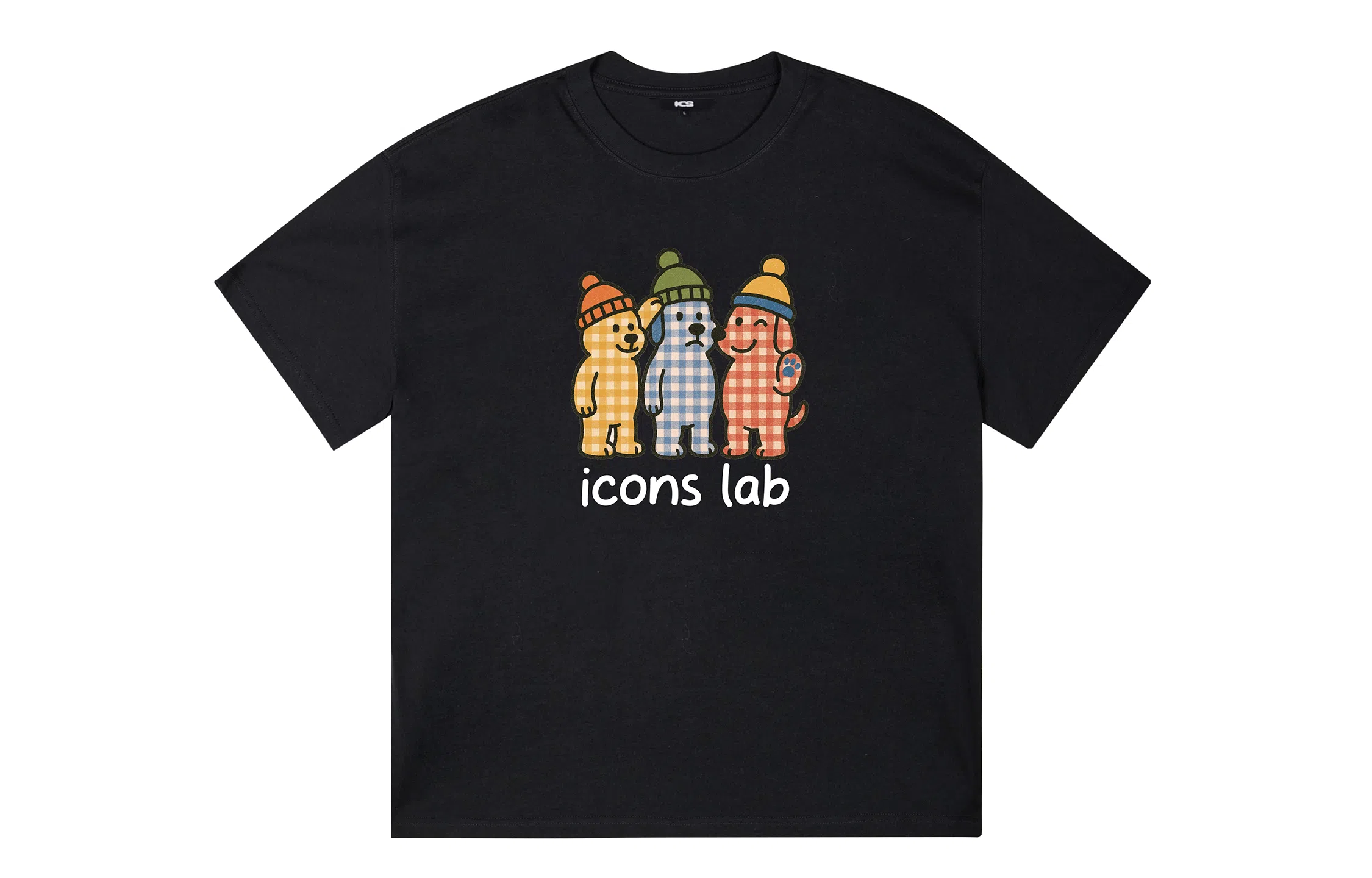 ICONS Lab ICS T