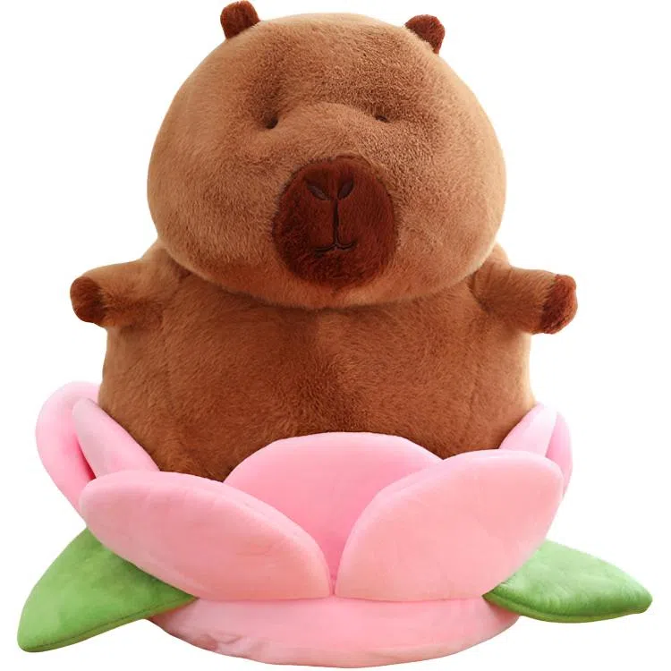 35cm45cm55cm75cm95cm