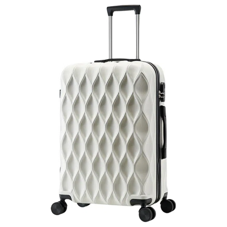 BLAKE FLEETO ABS 2024262228