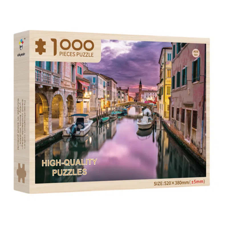 1000pcs DIY1000