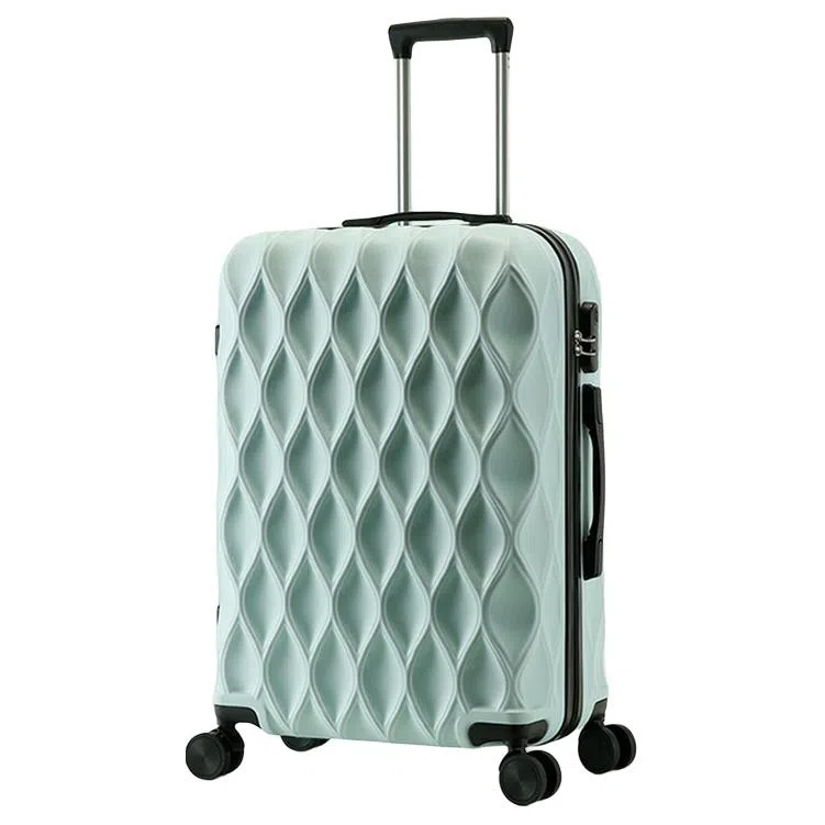 BLAKE FLEETO ABS 2024262228