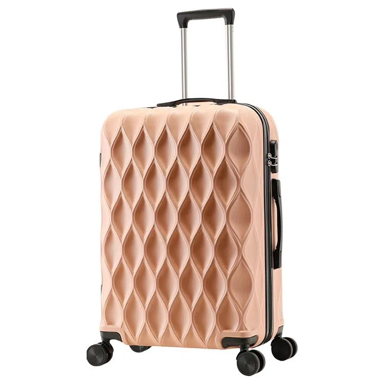 BLAKE FLEETO ABS 2024262228