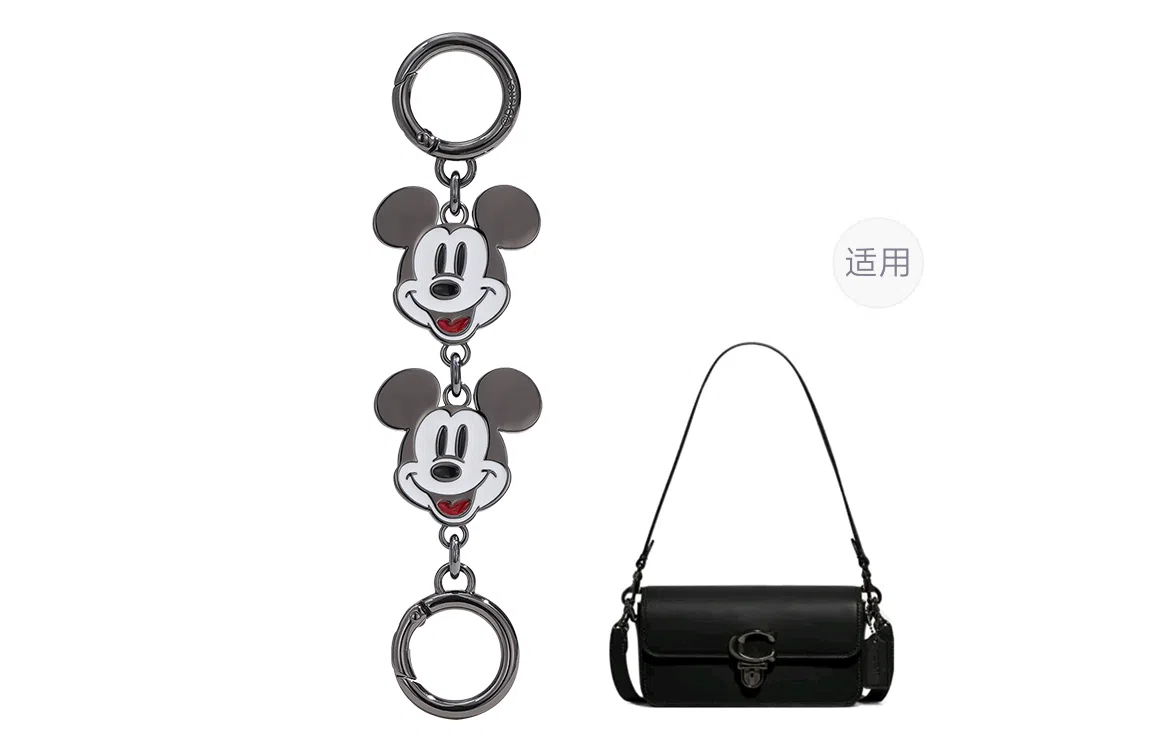 Disney coachLaurel31