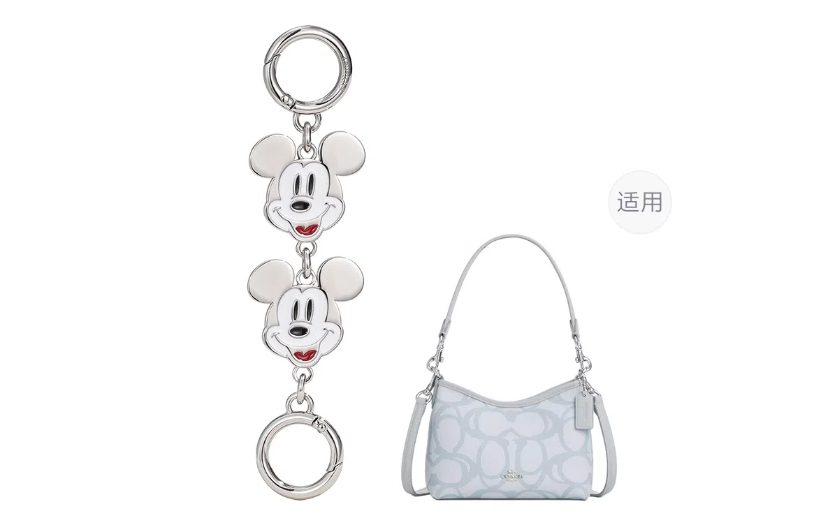 Disney coachLaurel31