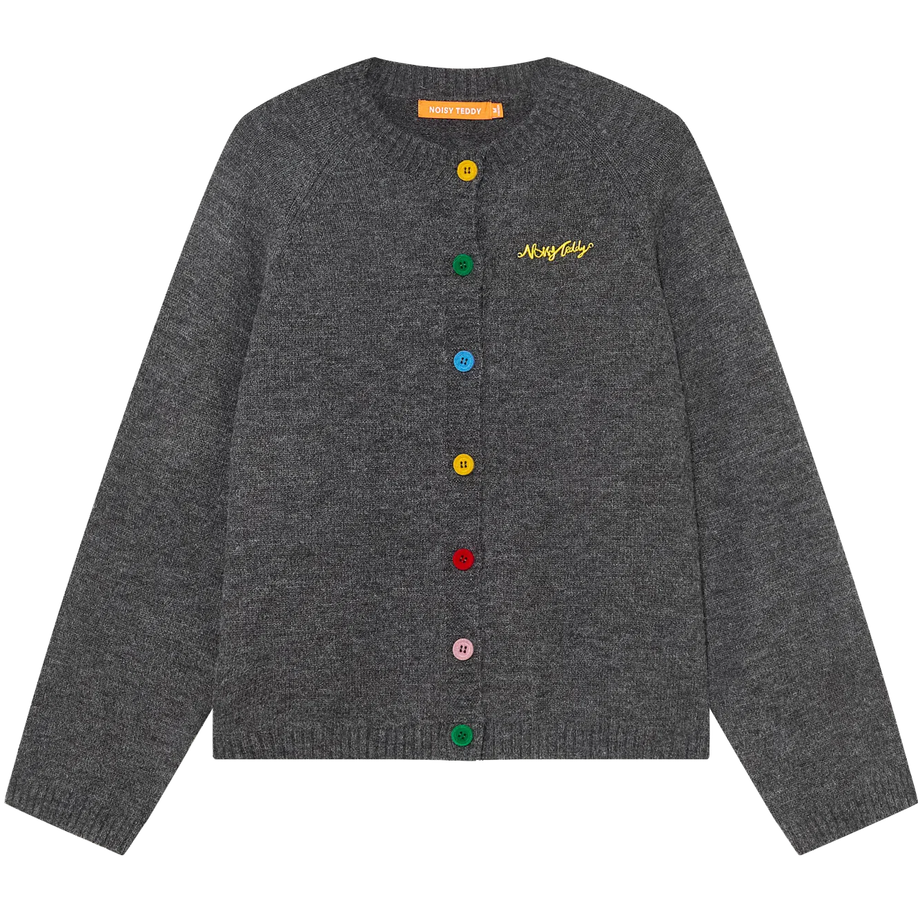NOISY TEDDY