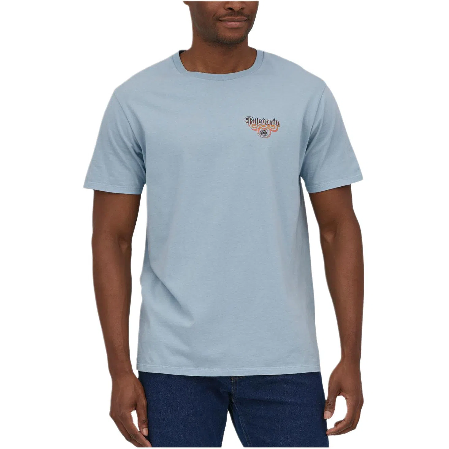 patagonia T