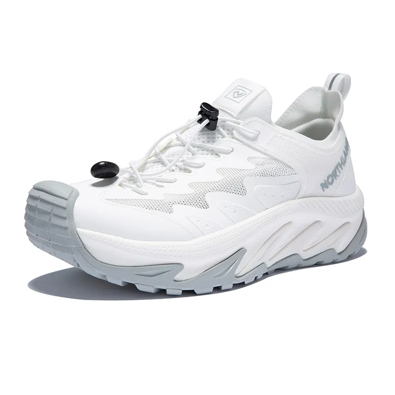 NORTHLAND PROFESSIONAL TRAVEL