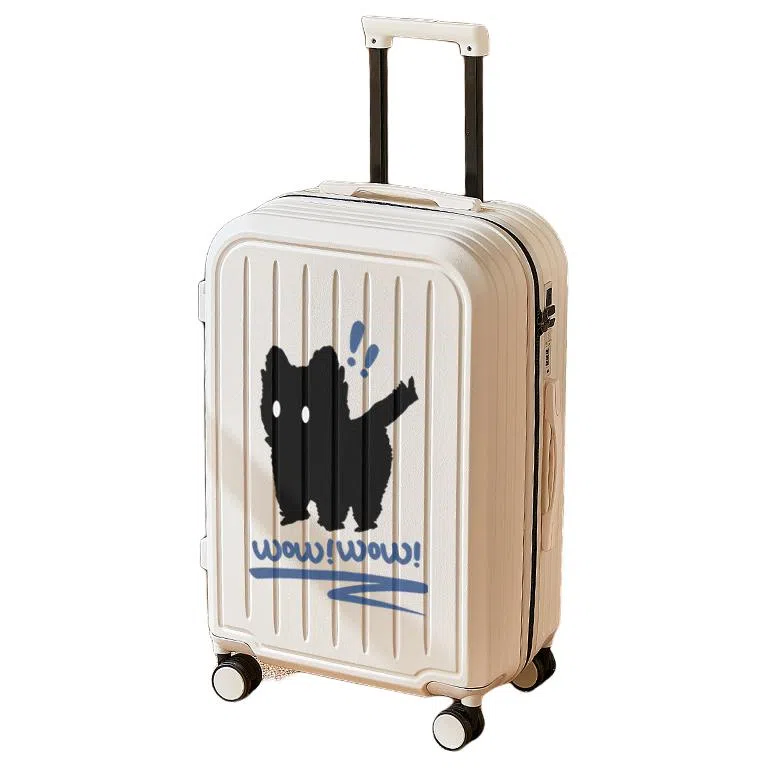 DCLOUD ABS+PC 2022242628