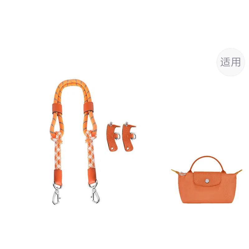 Longchamp Mini Bag Strap
