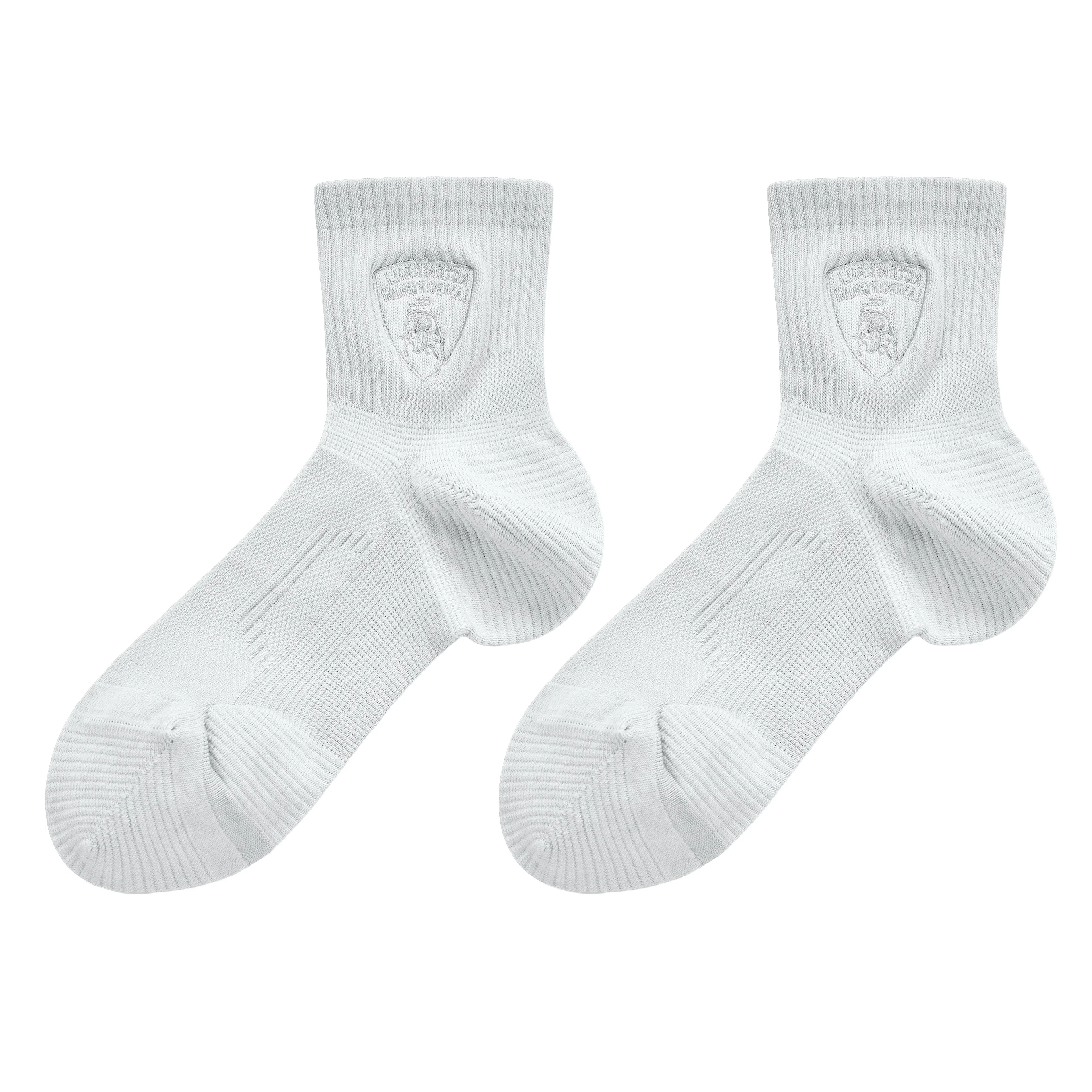 Automobili Lamborghini