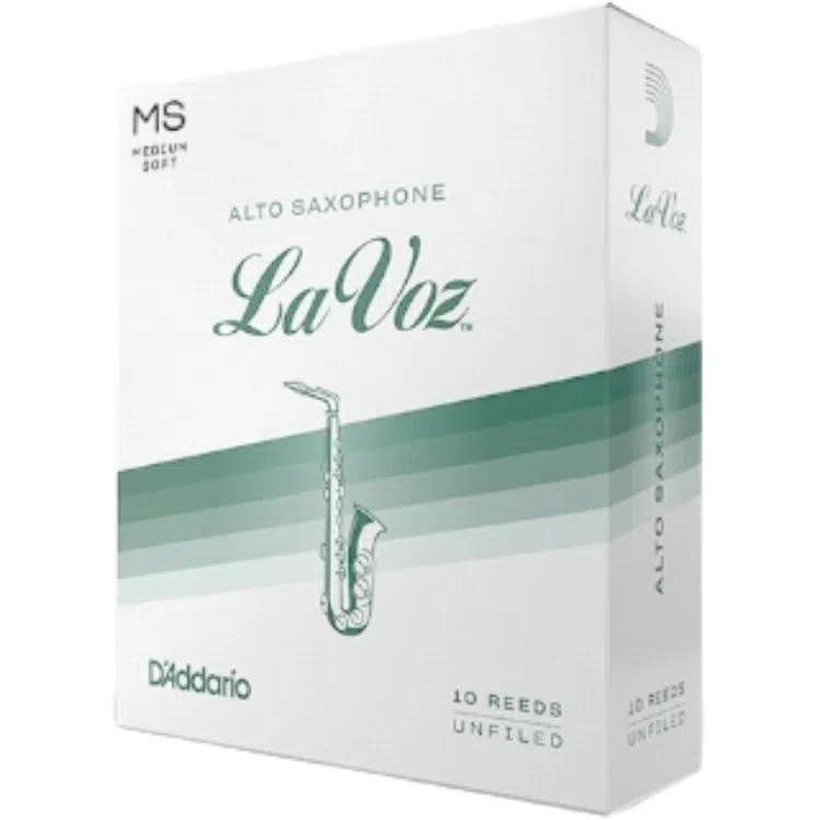 D'Addario LaVoz. Rico