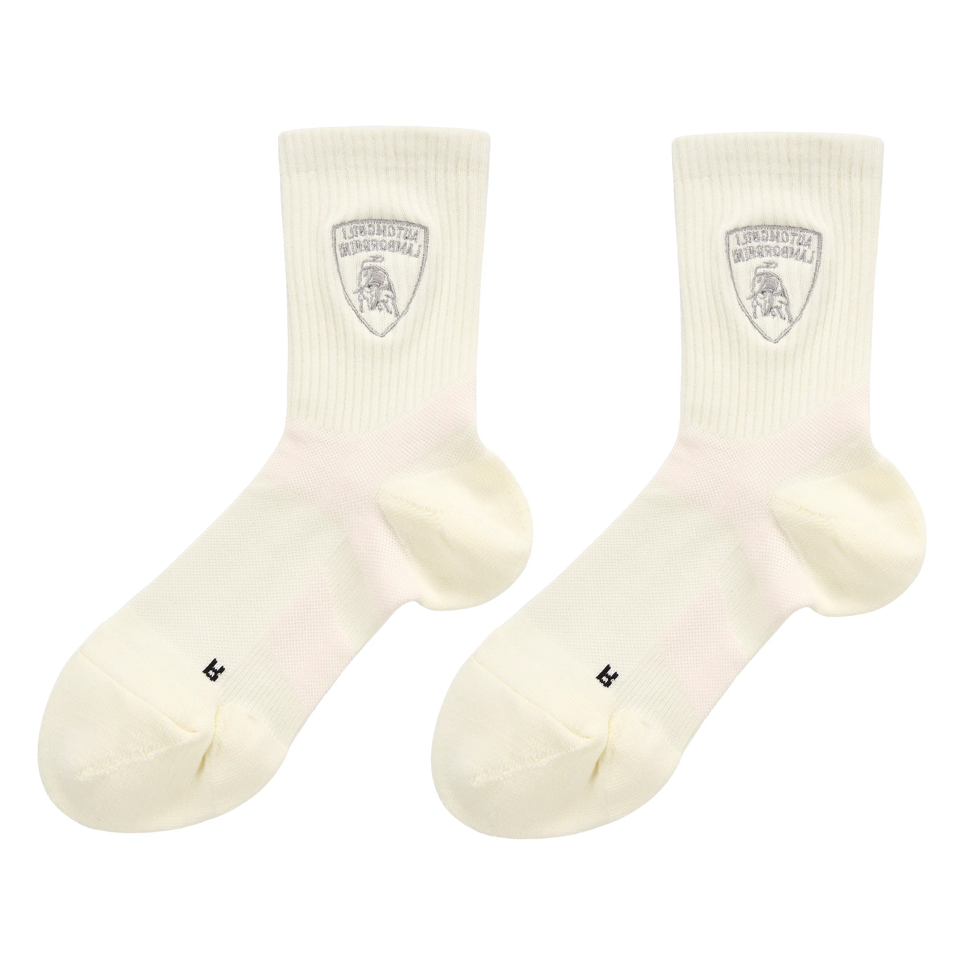 Automobili Lamborghini 2