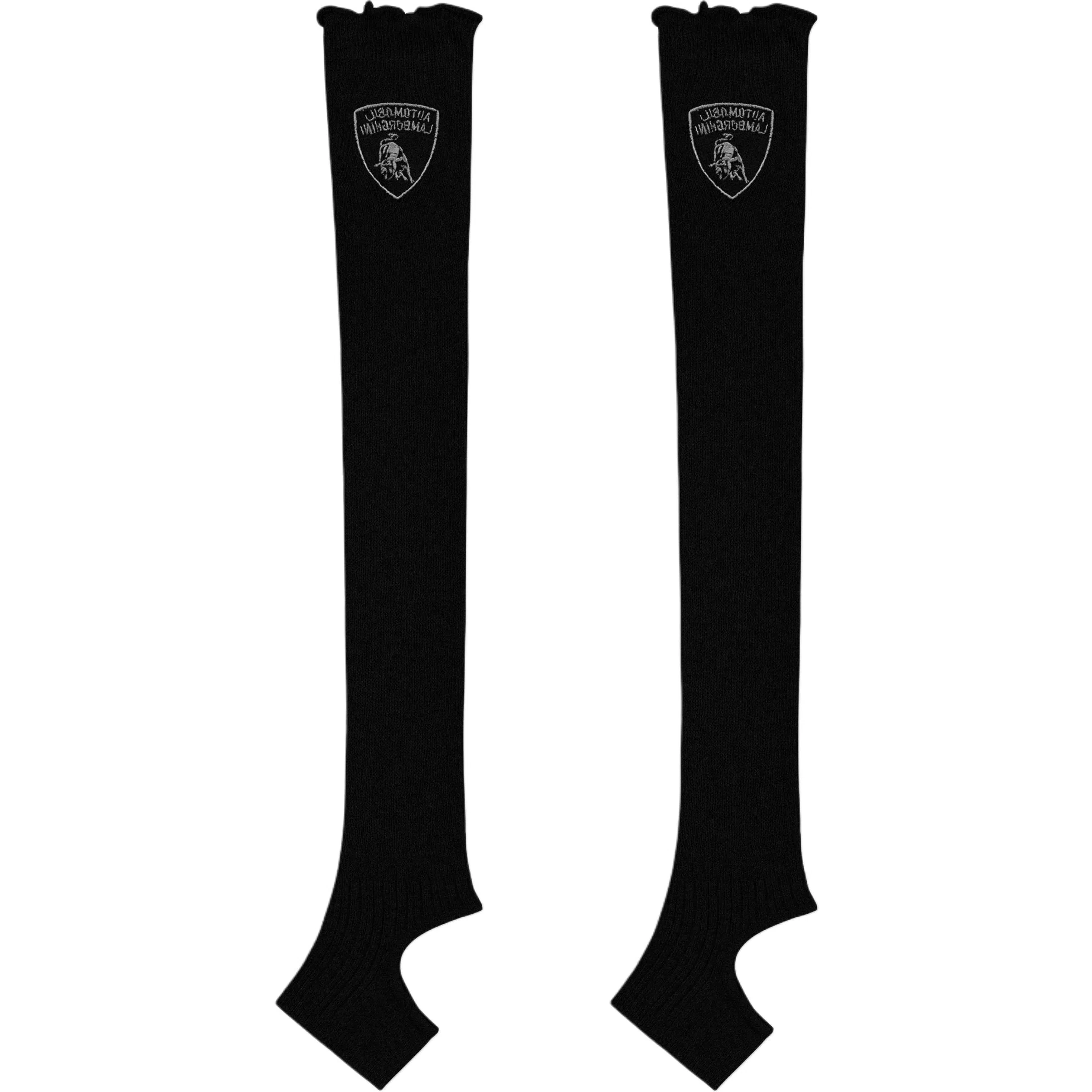 Automobili Lamborghini